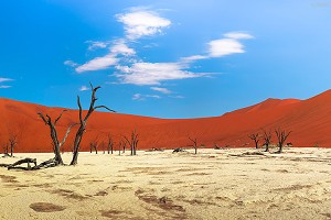 红沙漠1.jpg