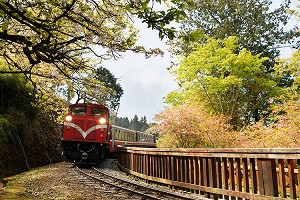 森林火车1.jpg
