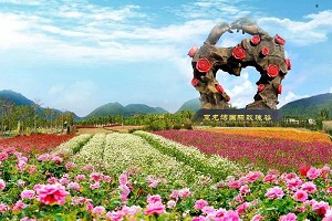 亚龙湾国际玫瑰谷1.jpg