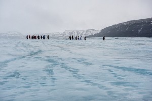 瓦特纳冰川1.jpg